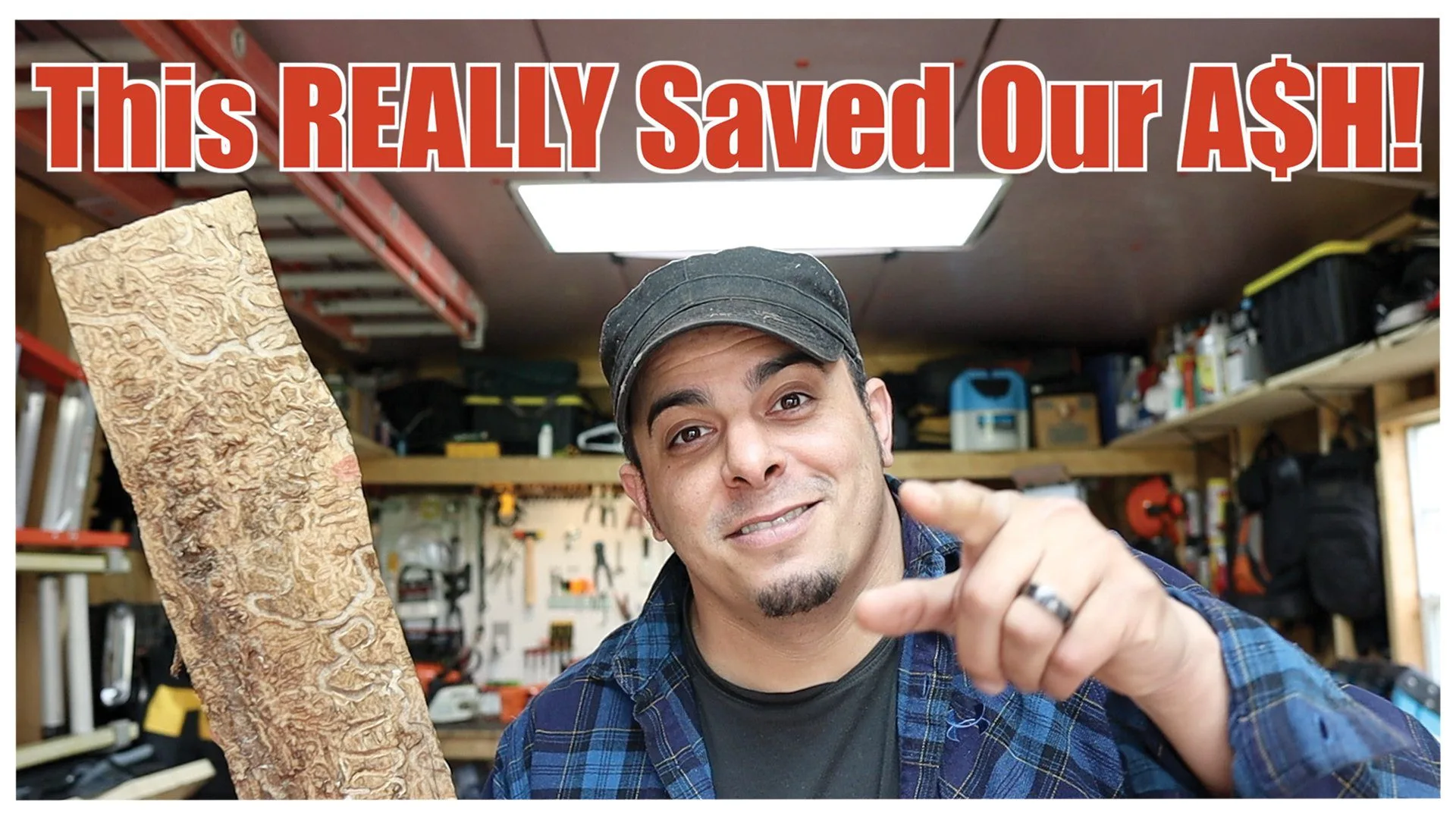 This really Saved our ASH trees! Emerald Ash Borer